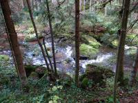   Impression vom Kleinen Kamp 