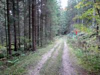 Blick auf die Wanderstrecke entlang des "Kleinen Kamp" in der Schtt