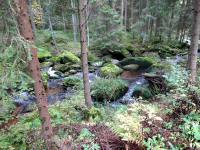   Impression vom Kleinen Kamp 