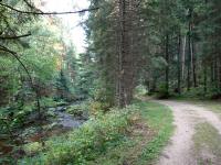 Blick auf die Wanderstrecke entlang des "Kleinen Kamp" in der Schtt