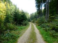 Blick auf die Wanderstrecke entlang des "Kleinen Kamp" in der Schtt