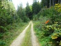 Blick auf die Wanderstrecke entlang des "Kleinen Kamp" in der Schtt