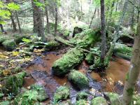   Impression vom Kleinen Kamp 