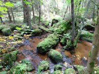   Impression vom Kleinen Kamp 