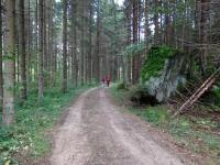 Blick auf die Wanderstrecke entlang des "Kleinen Kamp" in der Schtt