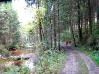 Blick auf die Wanderstrecke entlang des "Kleinen Kamp" in der Schtt