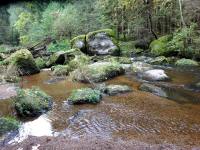   Impression vom Kleinen Kamp 