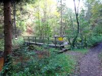  Blick zu einem Steg ber den Kleinen Kamp 