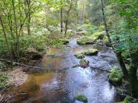  Blick vom Steg auf den Kleinen Kamp 