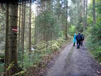 Blick auf die Wanderstrecke entlang des "Kleinen Kamp" 