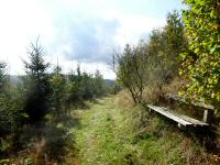  Blick auf die Wanderstrecke 