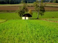  Fernblick zur Annakapelle 