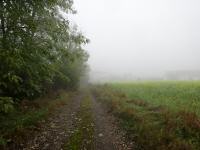  Blick auf die Wanderstrecke nach Burgschleinitz 