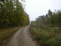 Blick auf die Wanderstrecke durch die Waldried "Hinterer Heide"