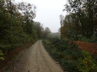 Blick auf die Wanderstrecke durch die Waldried "Hinterer Heide"