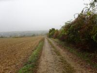 Blick auf die Wanderstrecke durch die Riede "Oberhohenstein" 