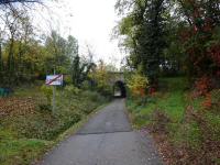 Blick auf die Wanderstrecke am Ortsende von Limberg 