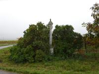 Blick zur Dreifaltigkeitssule in der Riede "Hoher Rain" 