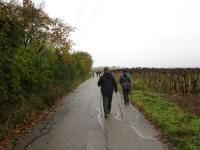  Blick auf die Wanderstrecke mit Gegenverkehr 