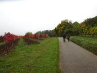  Blick auf die Wanderstrecke  