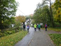 Blick auf die Wanderstrecke durch die Kellergasse "Oberer Weg" in Maissau 