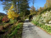  Blick auf die Wanderstrecke entlang der Lainsitz 