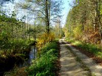  Blick auf die Wanderstrecke entlang der Lainsitz 