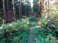  Blick auf die Wanderstrecke zur Lainsitz  