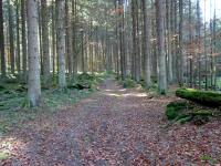  Blick auf die Wanderstrecke 