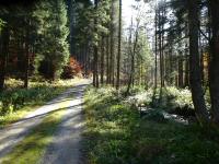 Wanderroute entlang des Einsiedelbachs nach Karlstift 