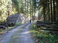 Wanderroute entlang des Einsiedelbachs nach Karlstift 