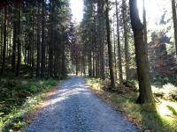 Wanderroute entlang des Einsiedelbachs nach Karlstift 