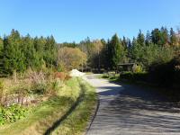 Blick auf die Wanderstrecke am Ortsende von Karlstift 