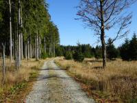  Blick auf die Wanderstrecke 