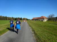 Blick auf die Wanderstrecke durch die Streusiedlung Reichenauerwald 