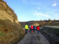  Blick auf die Wanderstrecke in der Riede Neuberg 