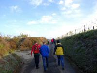  Blick auf die Wanderstrecke in der Riede Neuberg 