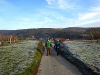  Wanderroute bergab nach Langenlois 