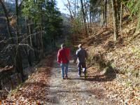  Blick auf die Wanderstrecke 