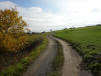 Wanderroute auf dem 06 durch die Riede Krckl nach Mittelberg 