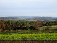  schner Fernblick zum Manhartsberg 