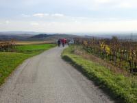  Wanderroute zur Kellergasse von Mittelberg 