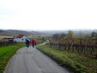  Wanderroute zur Kellergasse von Mittelberg 