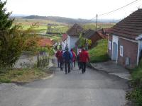 Blick auf die Wanderstrecke in der Kellergasse Mittelberg 