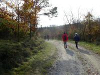  Wanderroute auf der alten Mittelberger Strae 