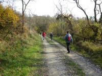  Wanderroute auf der alten Mittelberger Strae 