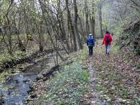  Wanderroute entlang des Sirnitzbachs 