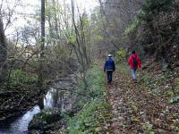  Wanderroute entlang des Sirnitzbachs 