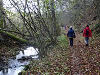  Wanderroute entlang des Sirnitzbachs 