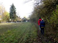 Blick auf die Wanderstrecke am Ortsanfang von Langenlois 